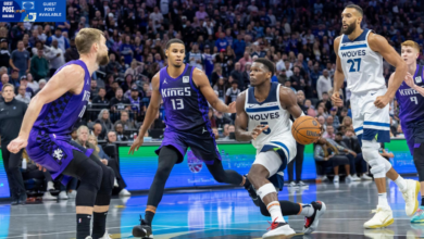 Timberwolves vs sacramento kings match player stats