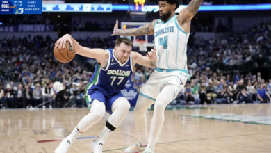 Dallas mavericks vs charlotte hornets match player stats