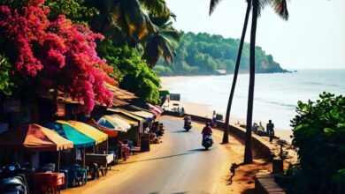 places to visit in goa