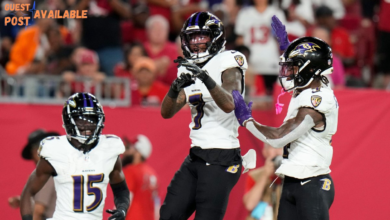 baltimore ravens vs tampa bay buccaneers match player stats