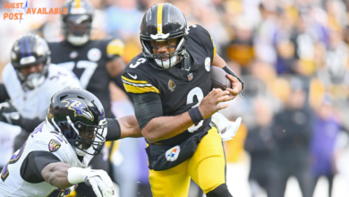 steelers vs baltimore ravens match player stats