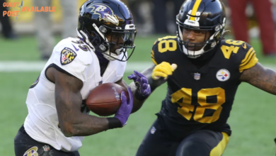 Baltimore ravens vs steelers match player stats